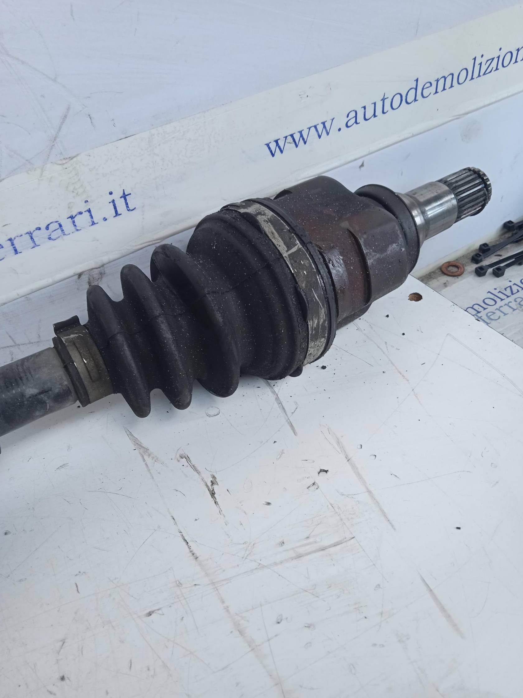 Semialbero ant. compl. dx.